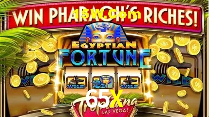 Promoção Relâmpago 65X